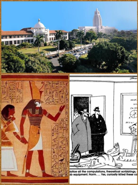 learning hieroglyphics