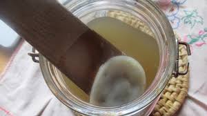 gross scoby