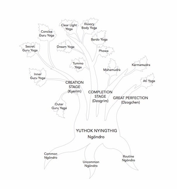 Yuthok Nyingthig tree.jpg